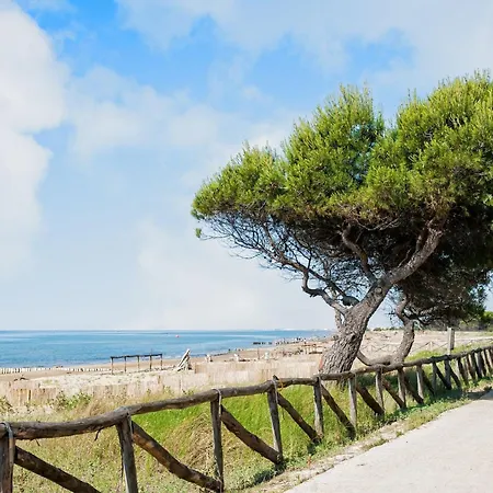 Great Flat In A With Pool Apartment