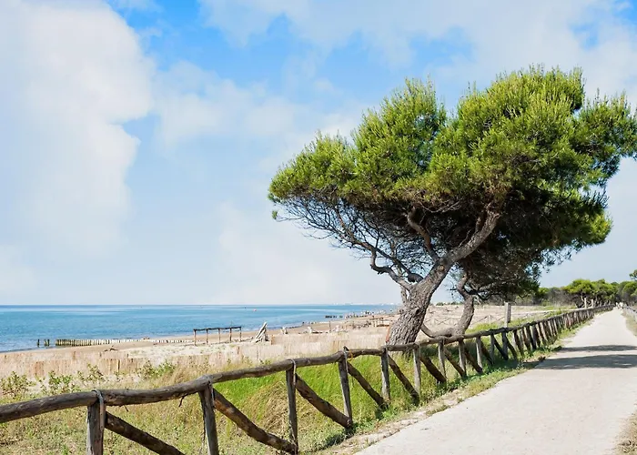 Great Flat In A With Pool Apartment